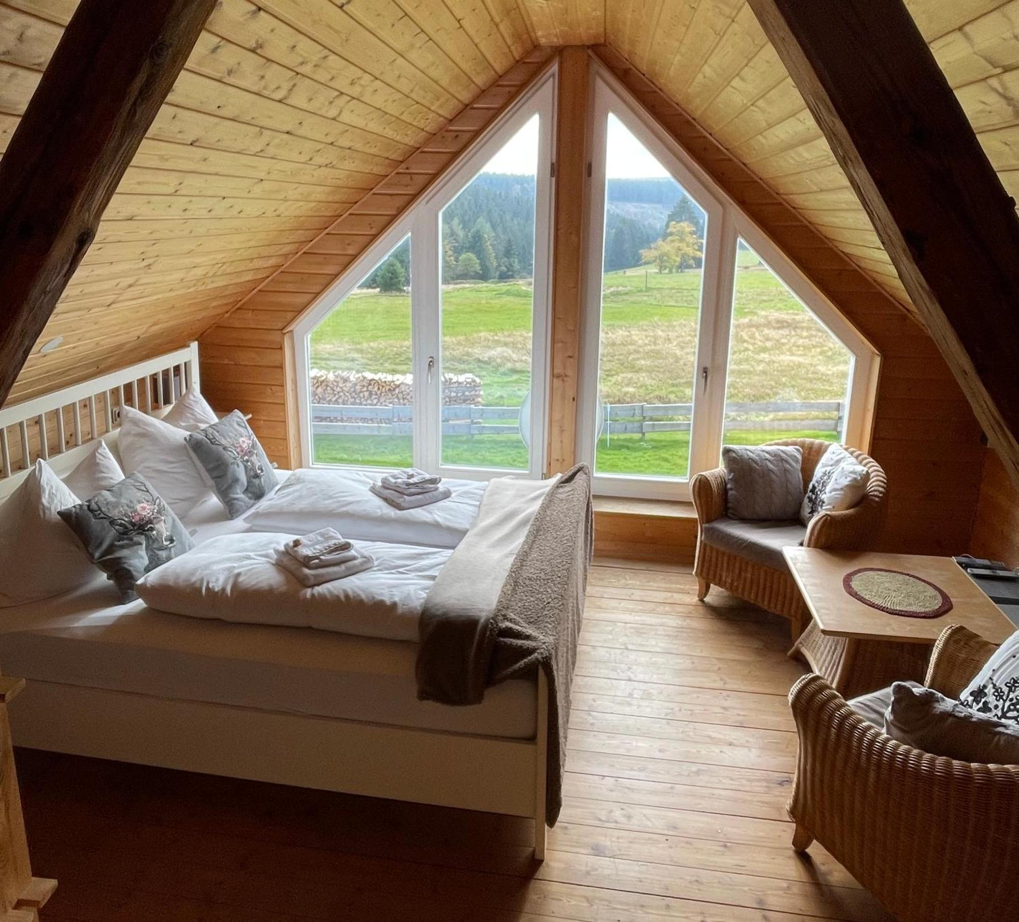 Ferienhaus Rennsteig-Wander-Mountainbike Und Langlaufparadies Friedrichshohe  Exterior foto